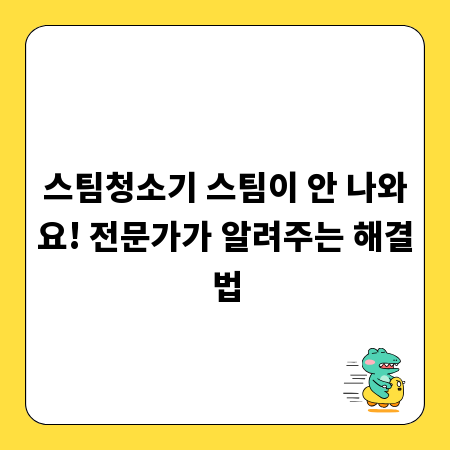 스팀청소기 스팀이 안 나와요! 전문가가 알려주는 해결법