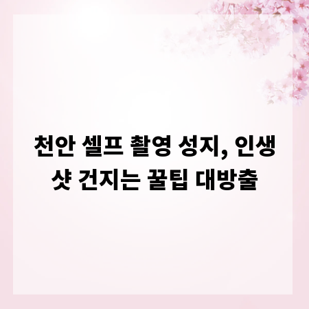 천안 셀프 촬영 성지, 인생샷 건지는 꿀팁 대방출