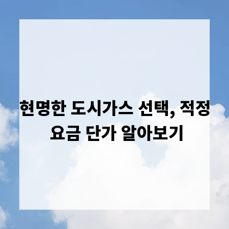 현명한 도시가스 선택, 적정 요금 단가 알아보기