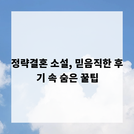정략결혼 소설, 믿음직한 후기 속 숨은 꿀팁