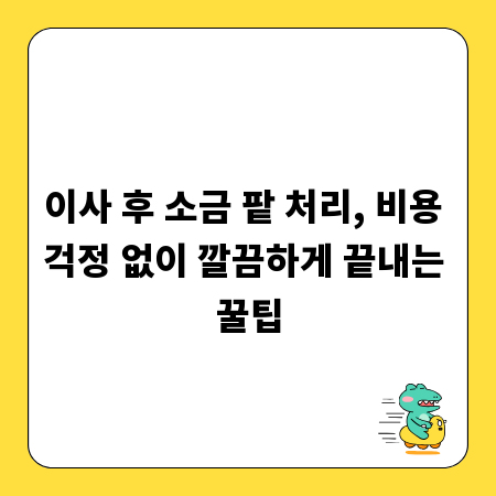 이사 후 소금 팥 처리, 비용 걱정 없이 깔끔하게 끝내는 꿀팁