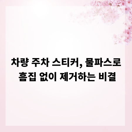 차량 주차 스티커, 물파스로 흠집 없이 제거하는 비결
