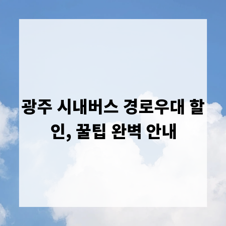광주 시내버스 경로우대 할인, 꿀팁 완벽 안내