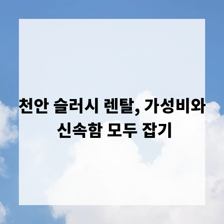 천안 슬러시 렌탈, 가성비와 신속함 모두 잡기