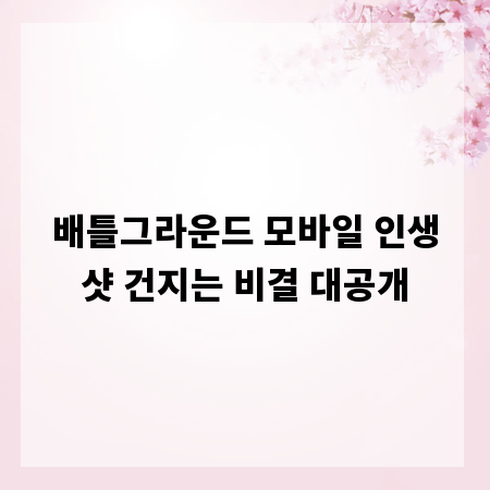배틀그라운드 모바일 인생샷 건지는 비결 대공개