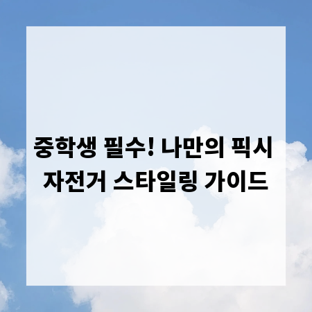 중학생 필수! 나만의 픽시 자전거 스타일링 가이드