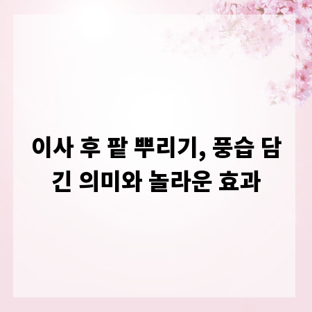 이사 후 팥 뿌리기, 풍습 담긴 의미와 놀라운 효과