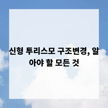 신형 투리스모 구조변경, 알아야 할 모든 것