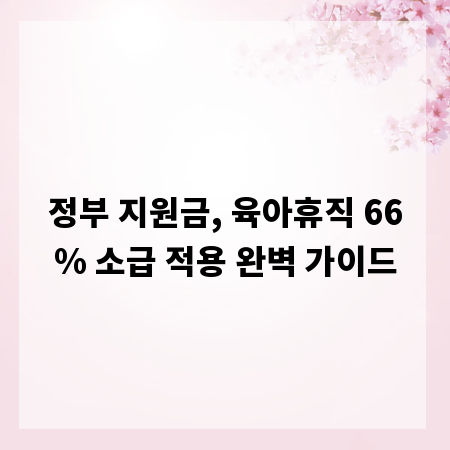 정부 지원금, 육아휴직 66% 소급 적용 완벽 가이드