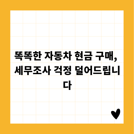 똑똑한 자동차 현금 구매, 세무조사 걱정 덜어드립니다