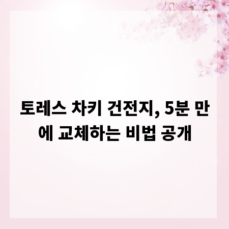 토레스 차키 건전지, 5분 만에 교체하는 비법 공개