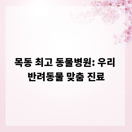 목동 최고 동물병원: 우리 반려동물 맞춤 진료