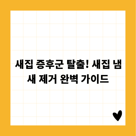 새집 증후군 탈출! 새집 냄새 제거 완벽 가이드