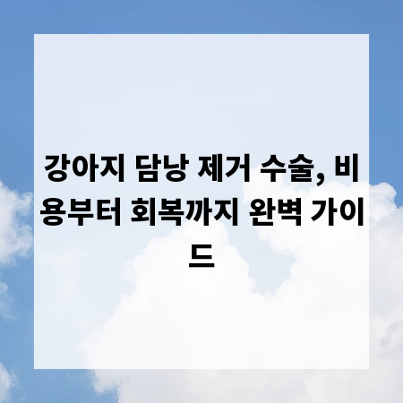 강아지 담낭 제거 수술, 비용부터 회복까지 완벽 가이드
