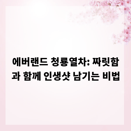 에버랜드 청룡열차: 짜릿함과 함께 인생샷 남기는 비법