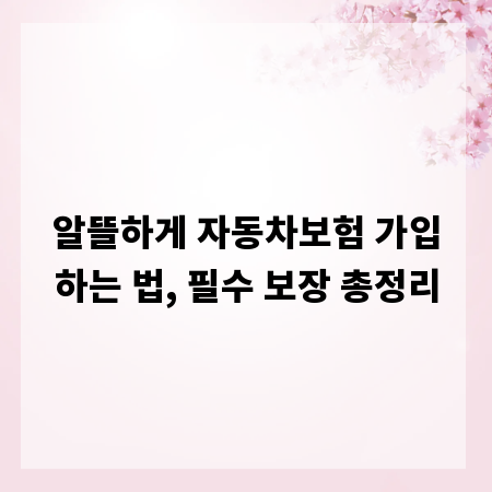 알뜰하게 자동차보험 가입하는 법, 필수 보장 총정리