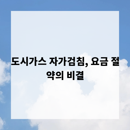 도시가스 자가검침, 요금 절약의 비결