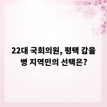 22대 국회의원, 평택 갑을병 지역민의 선택은?