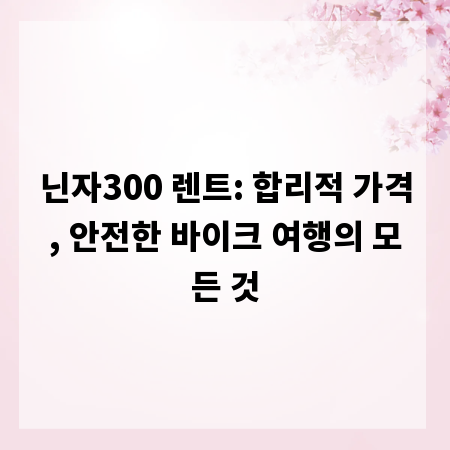 닌자300 렌트: 합리적 가격, 안전한 바이크 여행의 모든 것