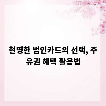 현명한 법인카드의 선택, 주유권 혜택 활용법