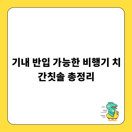 기내 반입 가능한 비행기 치간칫솔 총정리
