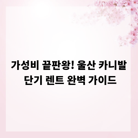 가성비 끝판왕! 울산 카니발 단기 렌트 완벽 가이드