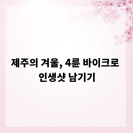 제주의 겨울, 4륜 바이크로 인생샷 남기기