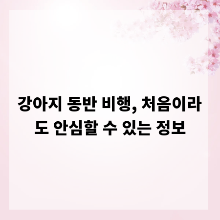 강아지 동반 비행, 처음이라도 안심할 수 있는 정보