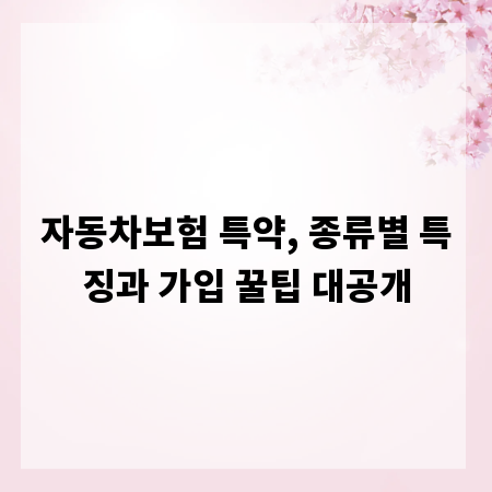 자동차보험 특약, 종류별 특징과 가입 꿀팁 대공개