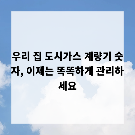 우리 집 도시가스 계량기 숫자, 이제는 똑똑하게 관리하세요
