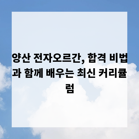 양산 전자오르간, 합격 비법과 함께 배우는 최신 커리큘럼
