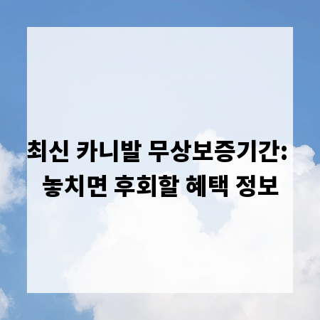 최신 카니발 무상보증기간: 놓치면 후회할 혜택 정보