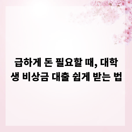 급하게 돈 필요할 때, 대학생 비상금 대출 쉽게 받는 법