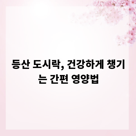 등산 도시락, 건강하게 챙기는 간편 영양법