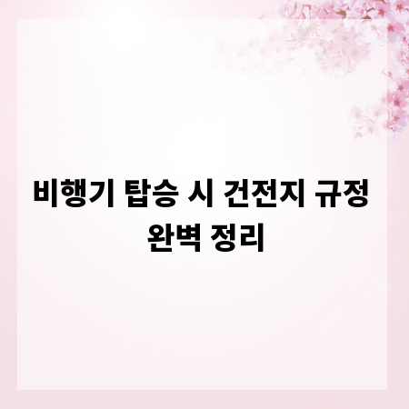 비행기 탑승 시 건전지 규정 완벽 정리