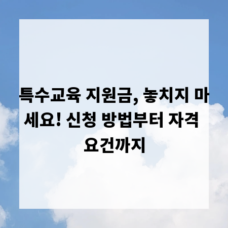특수교육 지원금, 놓치지 마세요! 신청 방법부터 자격 요건까지