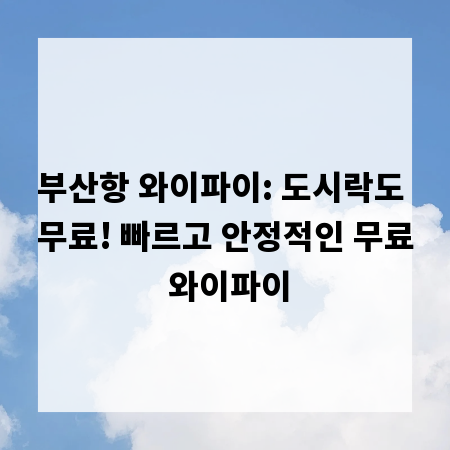 부산항 와이파이: 도시락도 무료! 빠르고 안정적인 무료 와이파이