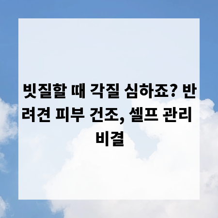 빗질할 때 각질 심하죠? 반려견 피부 건조, 셀프 관리 비결