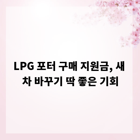 LPG 포터 구매 지원금, 새 차 바꾸기 딱 좋은 기회
