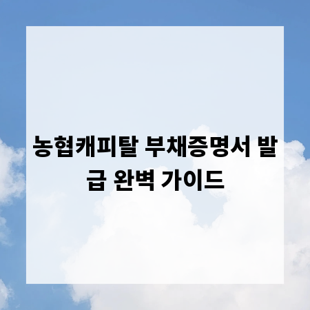 농협캐피탈 부채증명서 발급 완벽 가이드