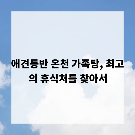 애견동반 온천 가족탕, 최고의 휴식처를 찾아서