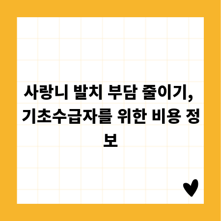 사랑니 발치 부담 줄이기, 기초수급자를 위한 비용 정보