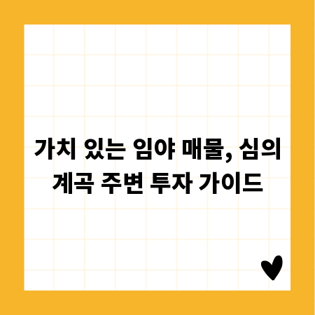 가치 있는 임야 매물, 심의계곡 주변 투자 가이드