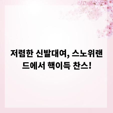 저렴한 신발대여, 스노위랜드에서 핵이득 찬스!