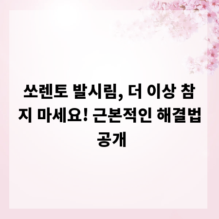쏘렌토 발시림, 더 이상 참지 마세요! 근본적인 해결법 공개