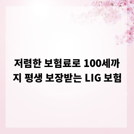 저렴한 보험료로 100세까지 평생 보장받는 LIG 보험